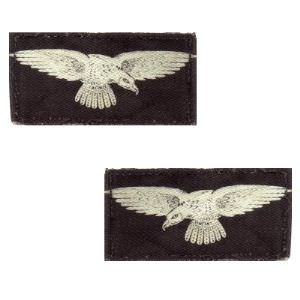 RAF Eagle Patch (click for enlarged image)